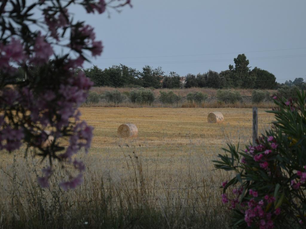 Tenuta Di Pontesodo Montalto di Castro Exteriér fotografie