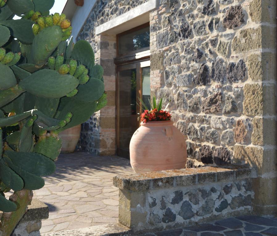 Tenuta Di Pontesodo Montalto di Castro Exteriér fotografie