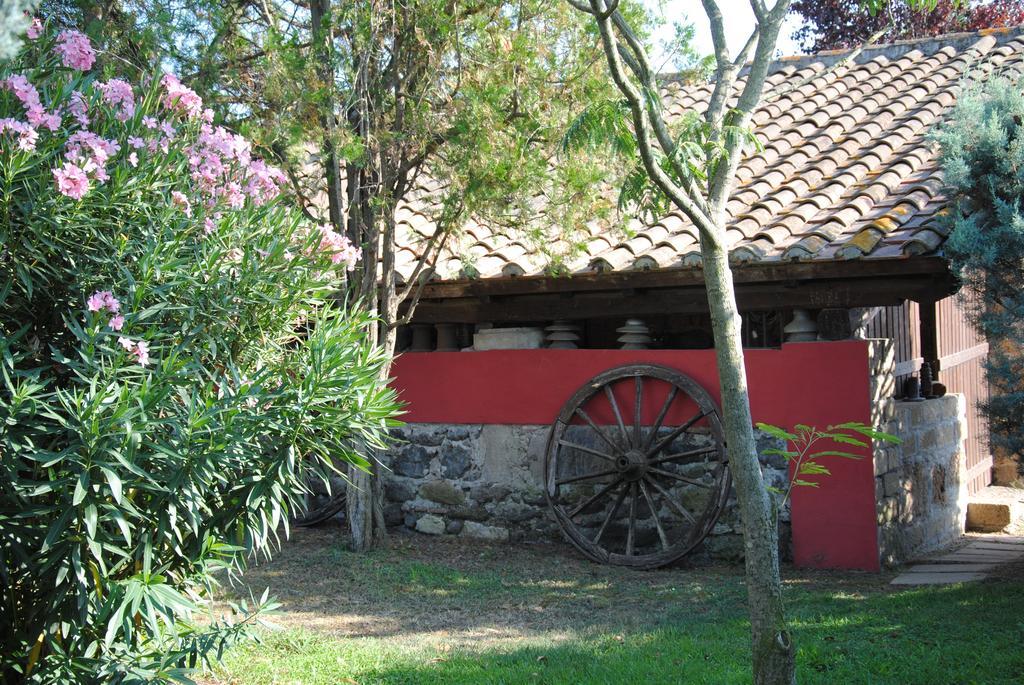 Tenuta Di Pontesodo Montalto di Castro Exteriér fotografie